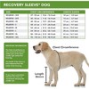 Suitical Recovery Single Sleeve for Dogs - Chest Circumference, Black - 3 of 4