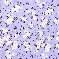 purple white flowers