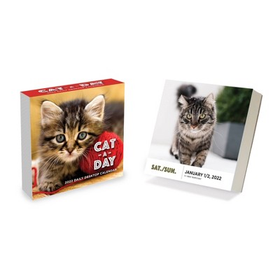 2022 Desktop Calendar Daily Cat A Day - The Time Factory