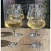 ChicFurnit Drinkware Tritan Plastic Wine Glass Set Unbreakable Lexington Design for Modern Living, Clear, 2.5"*2.5"*7.88" - 4 of 4