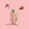 BARK I Chews You Chocolick Strawberries Dog Food Shaped Toy - 4 of 4