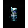 Nalgene Tritan Wide Mouth BPA-Free Water Bottle, Trout Green, 32-Ounces •  Zestfull