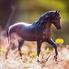 Breyer Animal Creations Breyer Traditional 1:9 Scale Model Horse | Vivaldi de Besilu - 3 of 4