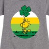 Girls' - Peanuts - Woodstock Shamrock Graphic Short Sleeve Fleece Dress - 2 of 4