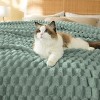 Bedsure Blanket for Bed - Super Soft, Cozy Blankets for Women, Cute Fleece - 3 of 4