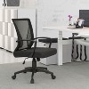LACOO Pop Mesh Office Chair - 2 of 4
