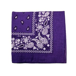 Unibasic Paisley 100% Cotton Bandana XL, head wrap, handkerchief - 10 Pack - 1 of 4