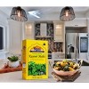 Rani Brand Authentic Indian Foods | Fenugreek Leaves Dried (Kasoori Methi) - 3 of 4