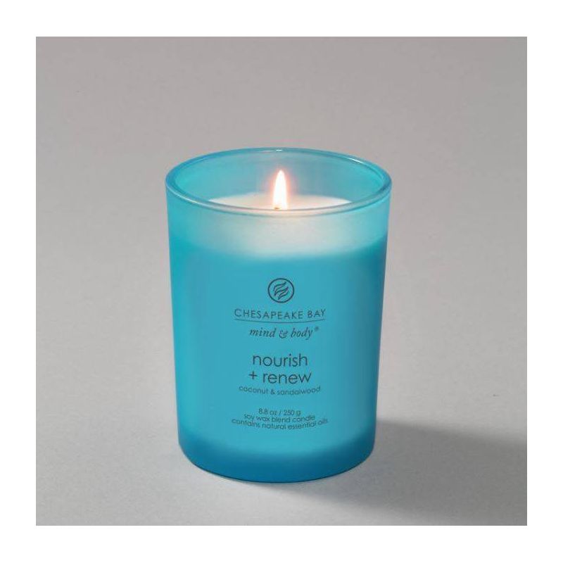 Frosted Glass Nourish + Renew Lidded Jar Candle Light Blue - Mind & Body by Chesapeake Bay Candle, 3 of 9