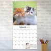 TF Publishing 13.5"x14.5" 2026 Kittens Wall Calendar - 3 of 4