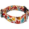Country Brook Petz HossFit Jr Wide Deluxe Dog Collar - Awesome Autumn Collection - 3 of 4