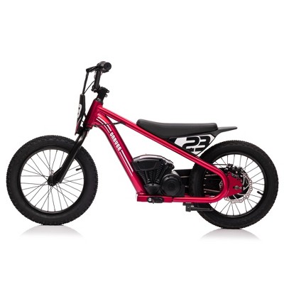 Red Electric Dirt Bike, 360W Kids Dirt Bike, Electric Motorcycle, Adjustable Speeds 6.84/11.81/15.53 MPH, Kids Electric Bikes 6-12, 16" Off-Road Whee