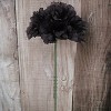 Floral Home 5" Pick Long Black Carnation Pick - 50-Piece - 2 of 4