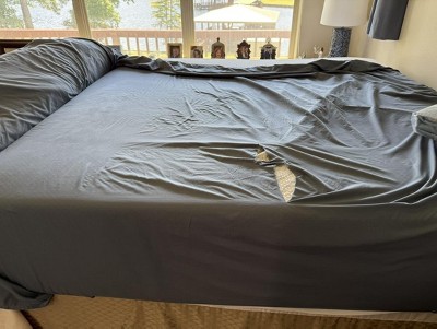 Guest review image 1 of 1, zoom in