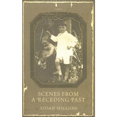 Scenes from a Receding Past - (Irish Literature) by  Aidan Higgins (Paperback)