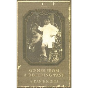 Scenes from a Receding Past - (Irish Literature) by  Aidan Higgins (Paperback) - 1 of 1