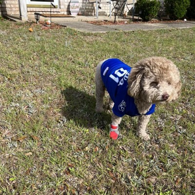 Cincinnati Reds Pet Jersey, Officially Licensed