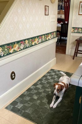 Guest review image 1 of 1, zoom in