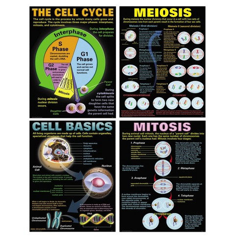 Cells Teaching Poster Set - Mcdonald Publishing: Biology & Science ...