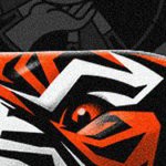 cincinnati bengals