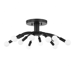 Troy Lighting Tristan 12 - Light Semi-Flush Mount in  Black - 1 of 1