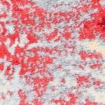 red/ivory