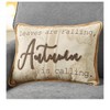 Pumpkin-Shaped or Embroidered Harvest Accent Pillows - 4 of 4