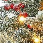 bracket-shaped basin