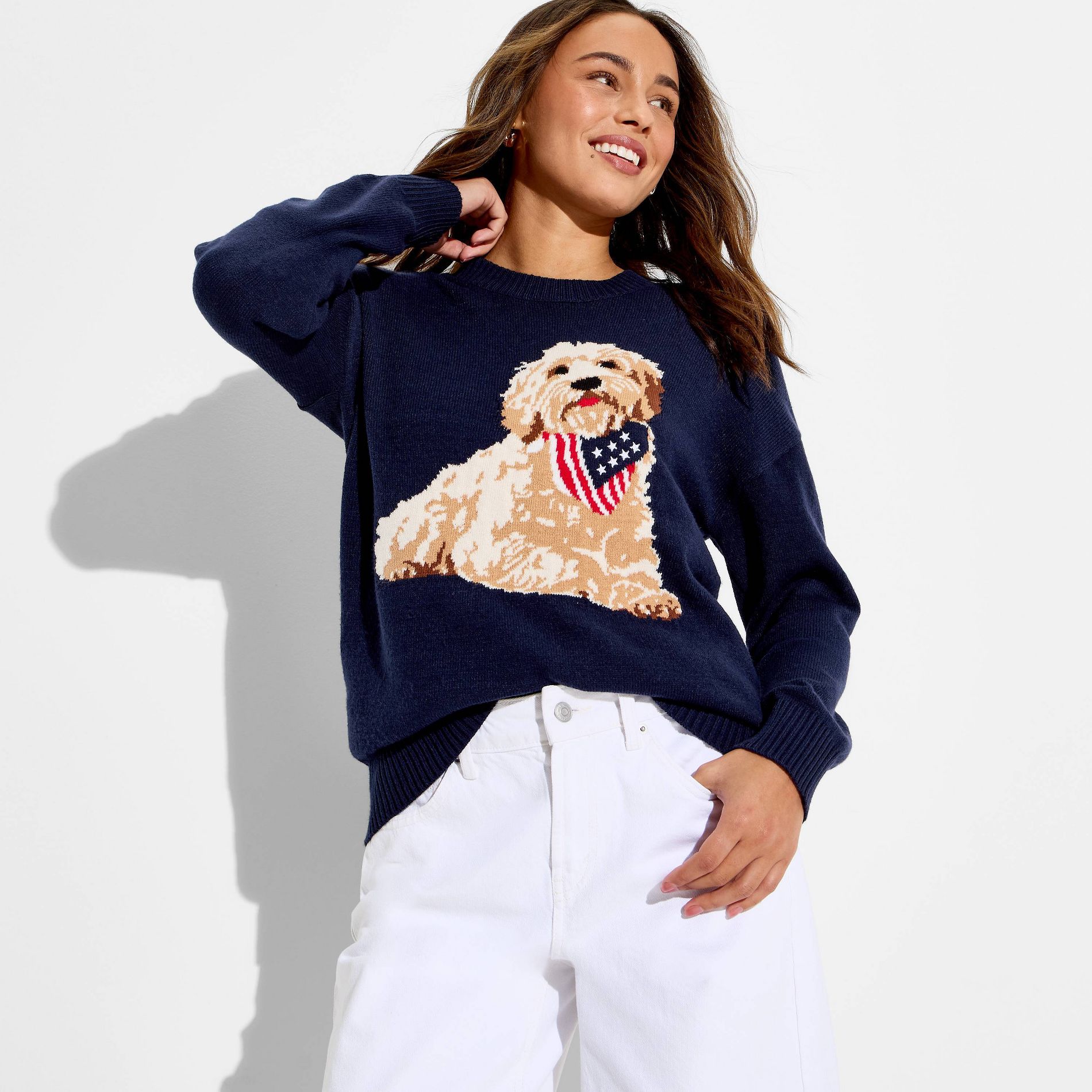 Women's Americana Dog Long Sleeve Graphic Pullover Sweater- Blue