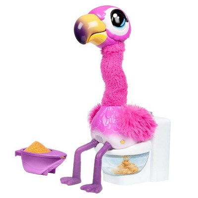 Little Live Gotta Go Flamingo Target - flamingo isnt funny roblox id