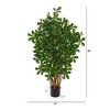 Nearly Natural 3.5-ft Black Olive Artificial Tree - image 2 of 4