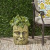 Syemin Planter, Antique Finish Decorative Planter, Outdoor Garden Decorative Flower Pot for Patio, Garden, Courtyard, Green, 11.75"*10.75"*14.25" - 4 of 4