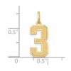 Black Bow Jewelry 14k Yellow Gold, Jersey Collection, Medium Number 3 Pendant - 4 of 4