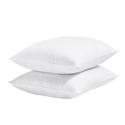 Dream Solutions USA Brand Bulk Goose Down Pillow Stuffing - Filling  Feathers - 10/90 White (6 LB) - Fill Stuffing Comforters, Pillows, Jackets  and