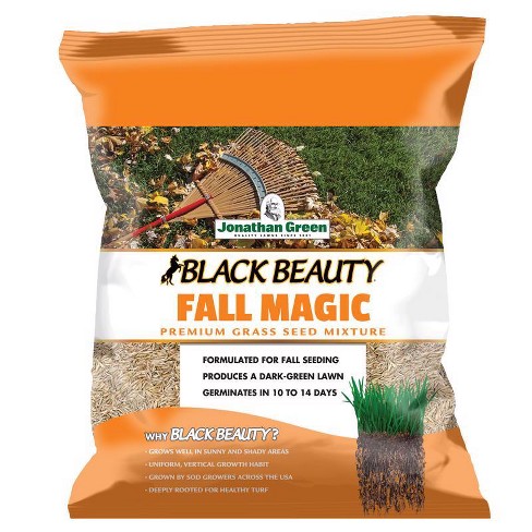 Jonathan Green Black Beauty All Grasses Sun or Shade Grass Seed Mixture 3 lb Item #: 10765 - image 1 of 1