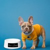 Amici Pet Ceramic Eat + Drink Bowl Large, Pet Food and Water Feeder, Anti-Slip Ceramic Treat Bowl, White Bowl, 24-Ounce - 2 of 4