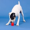 PetShop by Fringe Studio You're Adora-Ball Dog Treat Dispenser Toy - 3 of 4