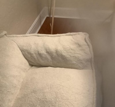 Guest review image 2 of 2, zoom in