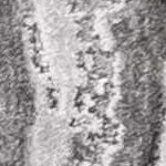 charcoal, white, lightgray