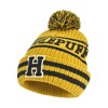 Harry Potter Adult Hogwarts Collegiate Winter Knit Hat with Cuff and Pom - 3 of 3