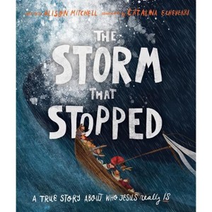 The Storm That Stopped Storybook - (Tales That Tell the Truth) by  Alison Mitchell (Hardcover) - 1 of 1
