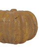 Terracotta Decorative Pumpkin by Foreside Home & Garden - 3 of 4