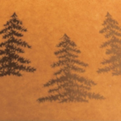 Set of 2 Derek Poly Table Lamps Brown - Signature Design by Ashley: Rustic Style, UL Listed