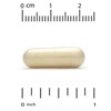 California Gold Nutrition Alpha Lipoic Acid, 600 mg, 120 Veggie Capsules - 3 of 4
