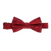 Gioberti Men's Formal 4pc Metallic Paisley Vest Necktie Bowtie and Pocket Square - 4 of 4