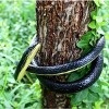 Fake Realistic Snake Lifelike Real Scary Rubber Toy Prank Party Joke For Garden - 2 of 4