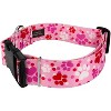 Country Brook Petz 1 1/2 Inch Deluxe Dog Collar - Affection Collection - 2 of 4
