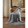 Coucheta Electric Blanket, Thick Tufted Plush Heated Blanket,10 Heat&Time Settings,ETL Certified Machine Washable Heated Throw,Multiple Sizes&Colors - 2 of 4