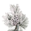 Vickerman Kimball Potted Pine Artificial Christmas Tree Unlit - 2 of 4
