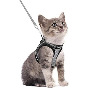 rabbitgoo Cat Harness and  Proof, Adjustable Soft Kittens Vest with Reflective Strip for Cats, Comfortable Outdoor Vest, Grey, S - 1 of 1